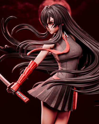 Akame | Akame Ga Kill | Handcrafted Figure
